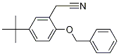 Benzeneacetonitrile, 5-(1,1-diMethylethyl)-2-(phenylMethoxy)- CAS#: 1246213-26-2