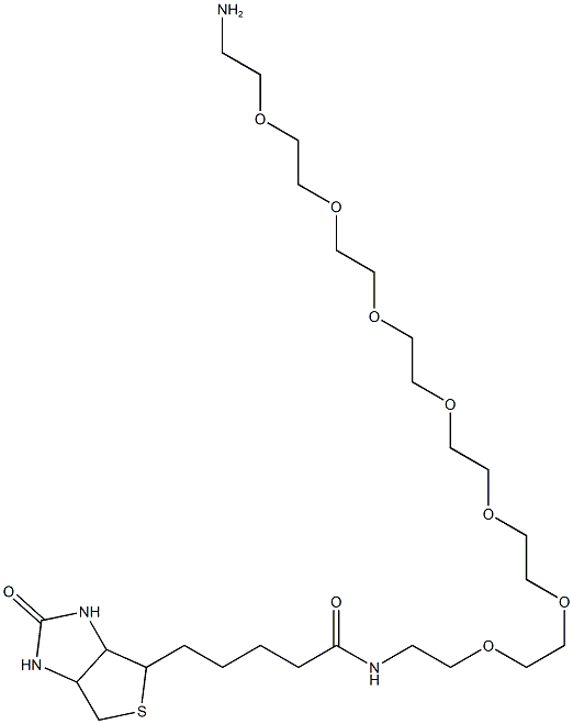 Biotin-PEG7-Amine CAS#: 1334172-76-7