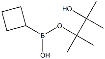 Cyclobutylboronic acid pinacol ester CAS#: 1360914-08-4