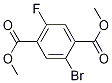 DiMethyl 2-broMo-5-Fluoroterephthalic acid CAS#: 1245807-10-6