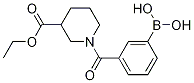 Ethyl (3-boronophenylcarbonyl)piperidine-3-carboxylate CAS#: 1218790-81-8
