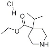 Ethyl 4-Isopropyl-4-piperidinecarboxylate Hydrochloride CAS#: 1186663-19-3