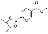 METHYL PYRIDINE-2-BORONIC ACID PINACOL ESTER-5-CARBOXYLATE CAS#: 1310384-84-9