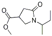 Methyl 1-sec-Butyl-5-oxopyrrolidine-3-carboxylate CAS#: 1363166-32-8