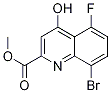 Methyl8-bromo-5-fluoro-4-hydroxyquinoline-2-carboxylate CAS#: 1133115-48-6