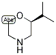 Morpholine, 2-(1-Methylethyl)-, (2S)- CAS#: 1286768-31-7