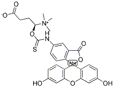 N-(5-FLUORESCEINYL)-L-CARNITINE-O-THIOCARBAMATE CAS#: 1258239-73-4