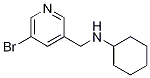 N-((5-bromopyridin-3-yl)methyl)cyclohexanamine CAS#: 1184409-99-1
