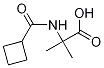 N-(Cyclobutylcarbonyl)-2-methylalanine CAS#: 1219960-66-3