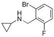 N-Cyclopropyl 2-broMo-6-fluorobenzylaMine CAS#: 1355247-19-6