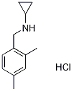 N-Cyclopropyl-2,4-dimethylbenzylamine hydrochloride, 4-(Cyclopropylamino)-m-xylene hydrochloride CAS#: 1257535-57-1