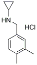 N-Cyclopropyl-3,4-dimethylbenzylamine hydrochloride, 4-(Cyclopropylamino)-o-xylene hydrochloride CAS#: 1257535-33-3