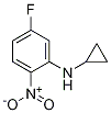 N-Cyclopropyl-5-fluoro-2-nitroaniline CAS#: 1248276-34-7