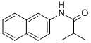 N-NAPHTHALEN-2-YL-ISOBUTYRAMIDE CAS#: 71182-40-6