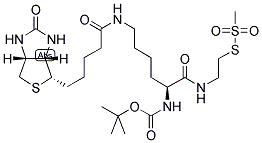 N-T-BOC-BIOCYTINAMIDOETHYL METHANETHIOSULFONATE CAS#: 1322623-64-2