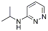 N-isopropylpyridazin-3-aMine CAS#: 1248509-73-0