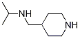 N-(piperidin-4-ylmethyl)propan-2-amine CAS#: 1225475-79-5
