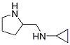 N-(pyrrolidin-2-ylmethyl)cyclopropanamine CAS#: 1226215-03-7