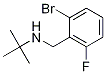 N-t-Butyl 2-broMo-6-fluorobenzylaMine CAS#: 1355247-73-2