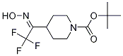 N1-BOC-4-(2,2,2-Trifluoro-1-(hydroxyiMino)ethyl)piperidine CAS#: 1313739-03-5