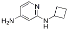 N2-cyclobutylpyridine-2,4-diamine CAS#: 1248791-40-3