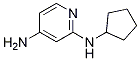 N2-cyclopentylpyridine-2,4-diamine CAS#: 1247500-24-8