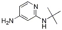 N2-tert-butylpyridine-2,4-diamine CAS#: 1249985-74-7