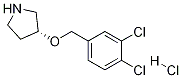 (R)-3-(3,4-Dichloro-benzyloxy)-pyrrolidine hydrochloride CAS#: 1261234-83-6