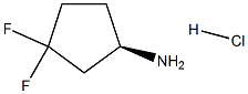 (R)-3,3-DifluorocyclopentanaMine hydrochloride CAS#: 1117936-64-7