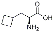 (S)-2-aMino-3-cyclobutylpropanoic acid CAS#: 1201593-65-8