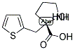 (S)-ALPHA-(2-THIOPHENYLMETHYL)-PROLINE-HCL CAS#: 1217711-72-2