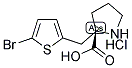 (S)-ALPHA-(5-BROMO-2-THIOPHENYLMETHYL)-PROLINE-HCL CAS#: 1217722-51-4
