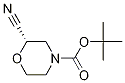 (S)-N-Boc-2-cyanomorpholine CAS#: 1257856-31-7