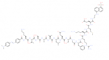 Structure of DABCYL-Lys-HCoV-SARS CAS 730985-86-1