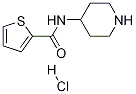 Thiophene-2-carboxylic acid piperidin-4-ylaMide hydrochloride CAS#: 1211130-98-1