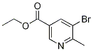 ethyl 5-broMo-6-Methylnicotinate CAS#: 1190862-70-4