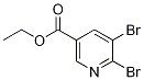 ethyl 5,6-dibroMonicotinate CAS#: 1190862-68-0
