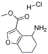 methyl 4-amino-4,5,6,7-tetrahydrobenzofuran-3-carboxylate hydrochloride CAS#: 1172813-04-5