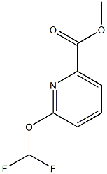 methyl 6-(difluoromethoxy)picolinate CAS#: 1375098-10-4