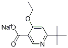 sodiuM 6-tert-butyl-4-ethoxynicotinate CAS#: 1143519-21-4