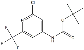tert-Butyl (2-chloro-6-(trifluoromethyl)pyridin-4-yl)carbamate CAS#: 1373223-18-7