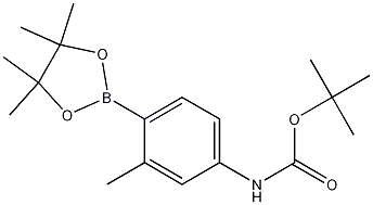 tert-Butyl 3-methyl-4-(4,4,5,5-tetramethyl-1,3,2-dioxaborolan-2-yl)phenylcarbamate CAS#: 1256360-04-9