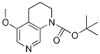 tert-Butyl 5-methoxy-3,4-dihydro-1,7-naphthyridine-1(2H)-carboxylate CAS#: 1045855-19-3