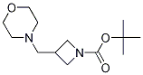 tert-butyl 3-(MorpholinoMethyl)azetidine-1-carboxylate CAS#: 1323155-30-1