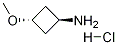 trans-3-MethoxycyclobutanaMine hydrochloride CAS＃：1363381-00-3