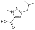 1-METHYL-3-(2-METHYLPROPYL)-1H-PYRAZOLE-5-CARBOXYLIC ACID CAS#: 769132-77-6