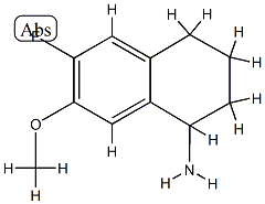 1-Naphthalenamine,6-fluoro-1,2,3,4-tetrahydro-7-methoxy-(9CI) CAS#: 760929-46-2