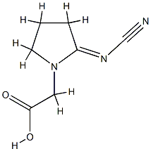 1-Pyrrolidineaceticacid,2-(cyanoimino)-(9CI) CAS#: 780726-61-6