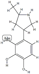 1,2,3-Benzenetriol,4-(5-methyl-3-pyrrolidinyl)-(9CI) CAS#: 741630-94-4