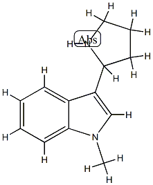 1H-Indole,1-methyl-3-(2-pyrrolidinyl)-(9CI) CAS#: 780700-12-1
